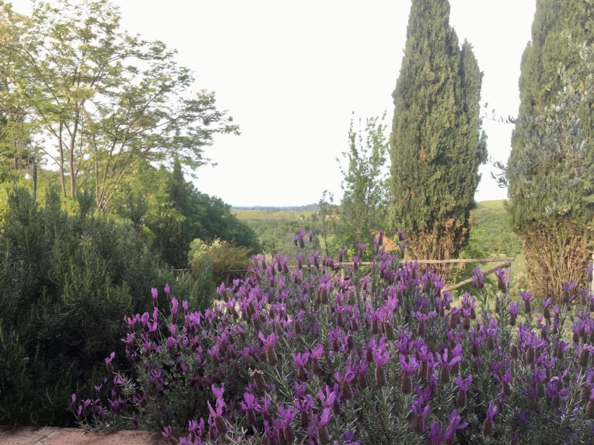 Viva House Villa Montaione Kültér fotó