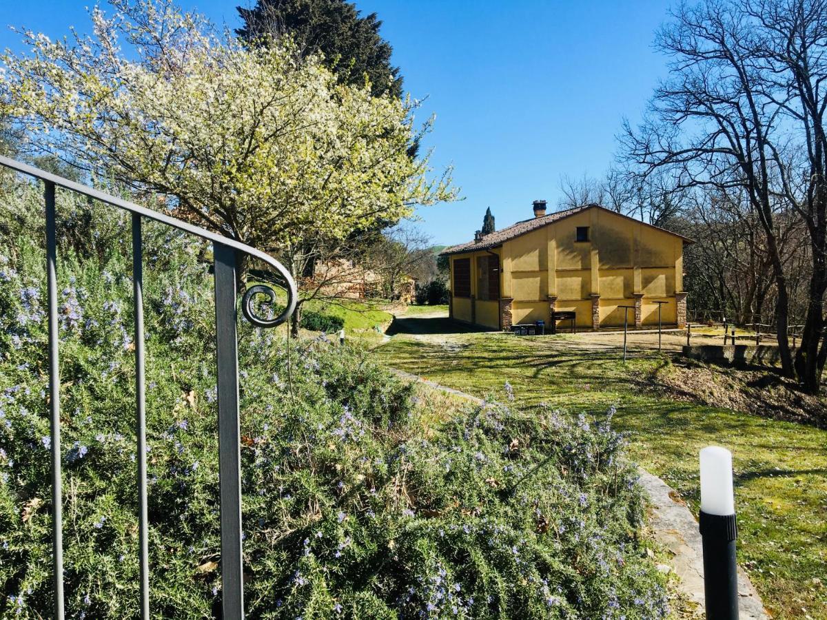 Viva House Villa Montaione Kültér fotó