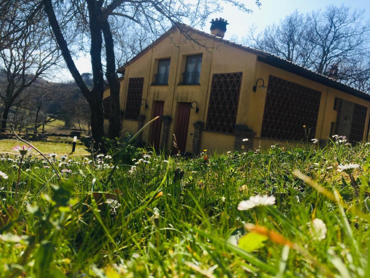 Viva House Villa Montaione Kültér fotó