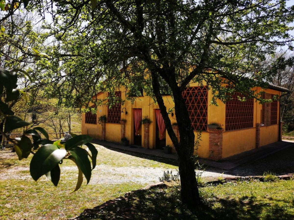 Viva House Villa Montaione Kültér fotó